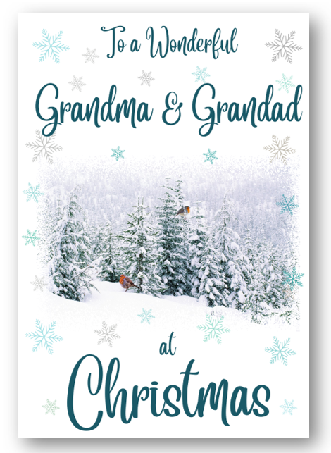 Second Ave Grandma & Grandad Christmas Winter Scene Xmas Holiday Festive Greetings Card