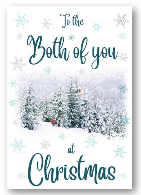 Second Ave Both of You Christmas Winter Scene Xmas Holiday Festive Greetings Card
