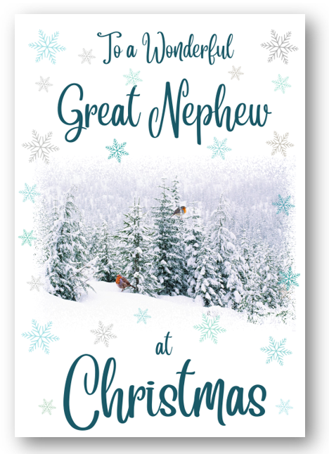 Second Ave Great Nephew Christmas Winter Scene Xmas Holiday Festive Greetings Card