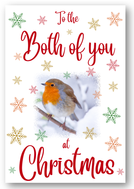 Second Ave Both of You Christmas Robin Xmas Holiday Festive Greetings Card