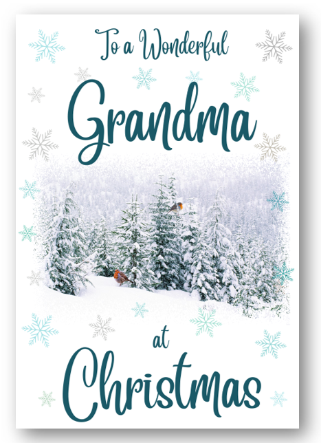 Second Ave Grandma Christmas Winter Scene Xmas Holiday Festive Greetings Card