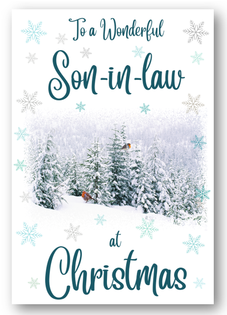 Second Ave Son-in-Law Christmas Winter Scene Xmas Holiday Festive Greetings Card