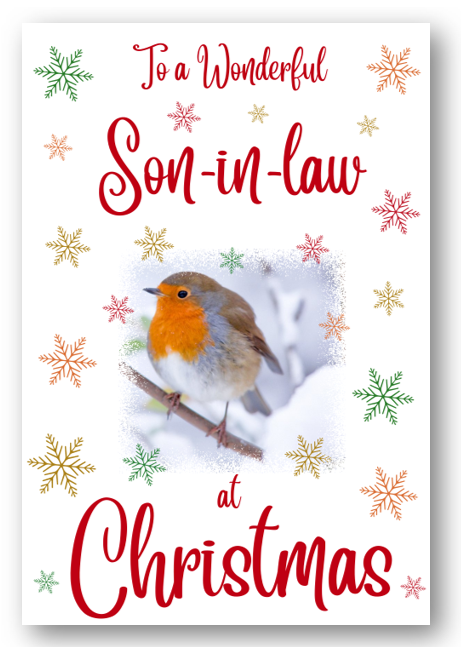 Second Ave Son-in-Law Christmas Robin Xmas Holiday Festive Greetings Card