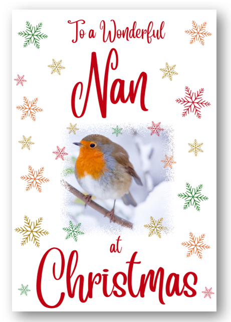 Second Ave Nan Christmas Robin Xmas Holiday Festive Greetings Card