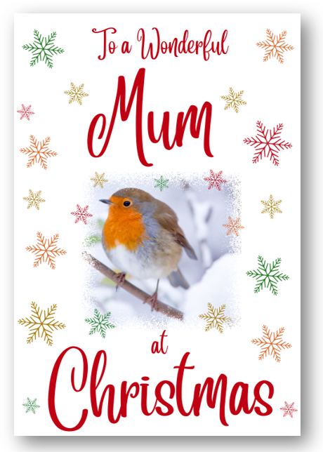 Second Ave Mum Christmas Robin Xmas Holiday Festive Greetings Card