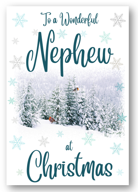 Second Ave Nephew Christmas Winter Scene Xmas Holiday Festive Greetings Card
