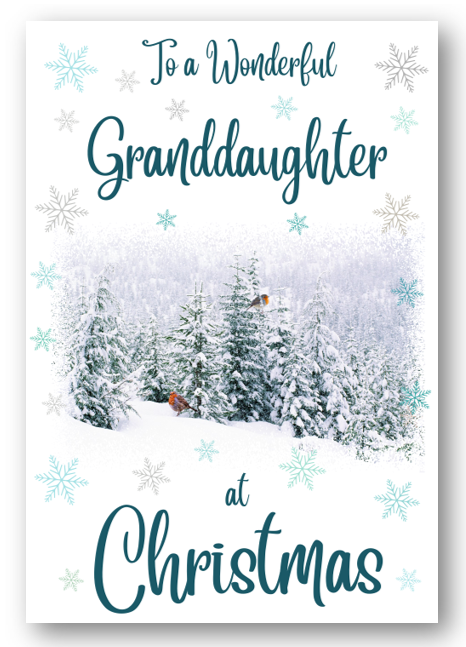 Second Ave Granddaughter Christmas Winter Scene Xmas Holiday Festive Greetings Card
