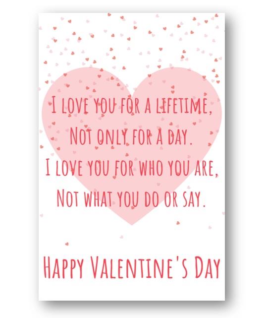 Second Ave Love You For A Lifetime Valentine Card For Him/Her Cute Romantic Valentine's Day