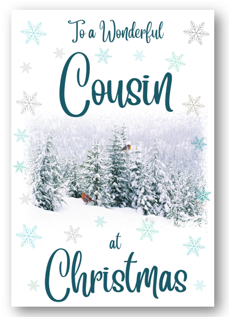 Second Ave Cousin Christmas Winter Scene Xmas Holiday Festive Greetings Card