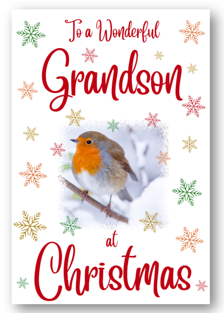 Second Ave Grandson Christmas Robin Xmas Holiday Festive Greetings Card