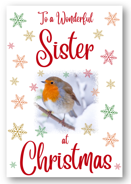 Second Ave Sister Christmas Robin Xmas Holiday Festive Greetings Card