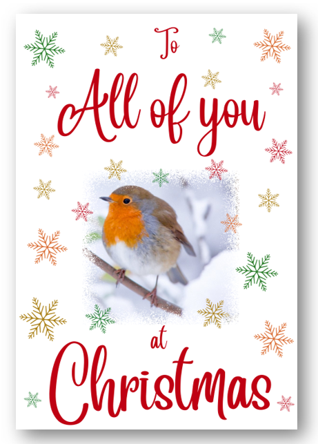 Second Ave All of You Christmas Robin Xmas Holiday Festive Greetings Card