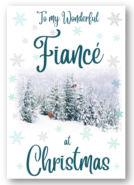 Second Ave Fiance Christmas Winter Scene Xmas Holiday Festive Greetings Card