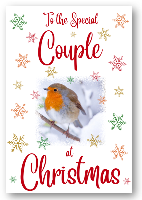 Second Ave Special Couple Christmas Robin Xmas Holiday Festive Greetings Card