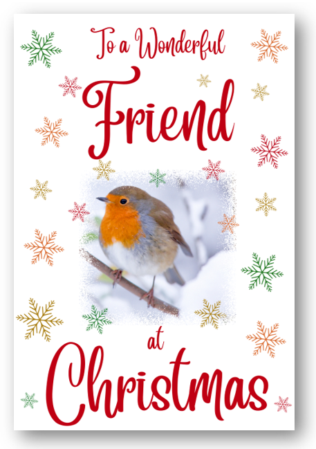 Second Ave Friend Christmas Robin Xmas Holiday Festive Greetings Card