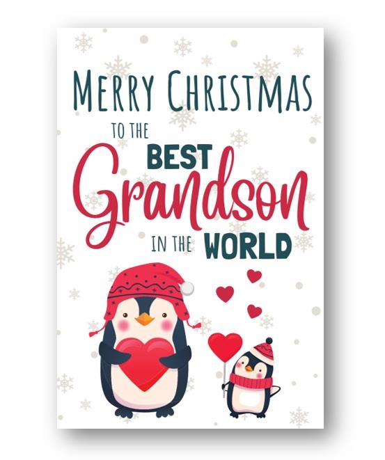 Second Ave Best Grandson Penguin Children's Kids Christmas Xmas Holiday Festive Greetings Card
