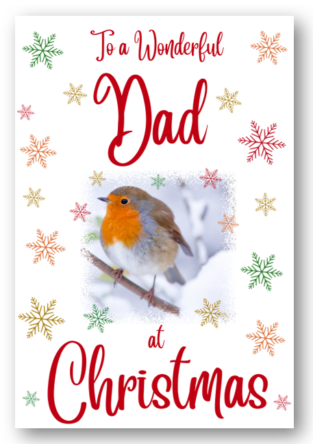 Second Ave Dad Christmas Robin Xmas Holiday Festive Greetings Card