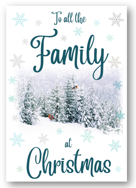 Second Ave All the Family Christmas Winter Scene Xmas Holiday Festive Greetings Card