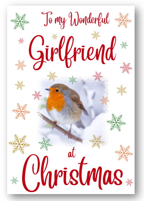 Second Ave Girlfriend Christmas Robin Xmas Holiday Festive Greetings Card