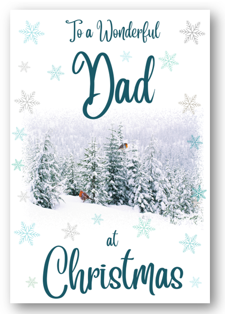 Second Ave Dad Christmas Winter Scene Xmas Holiday Festive Greetings Card