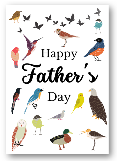 Second Ave Happy Father's Day Bird Card For Dad Daddy Grandad