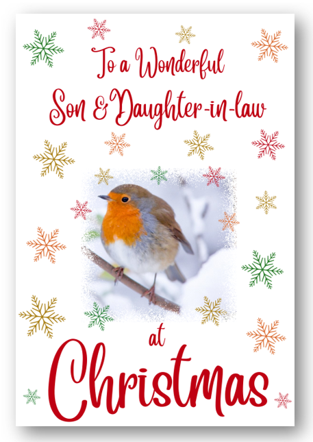 Second Ave Son & Daughter-in-Law Christmas Robin Xmas Holiday Festive Greetings Card