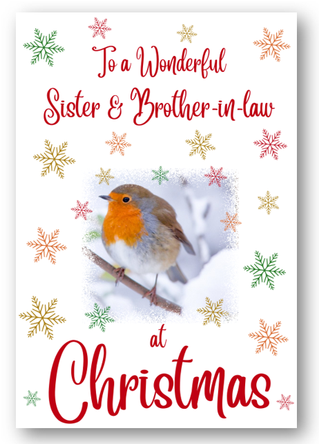 Second Ave Sister & Brother-in-Law Christmas Robin Xmas Holiday Festive Greetings Card