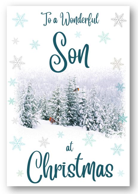 Second Ave Son Christmas Robin Winter Scene Holiday Festive Greetings Card