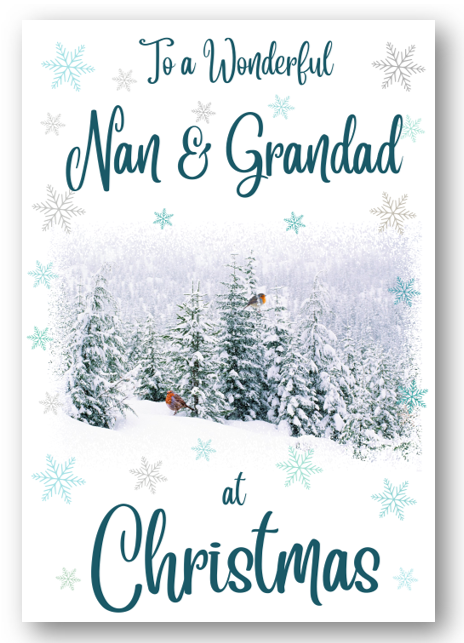 Second Ave Nan & Grandad Christmas Winter Scene Xmas Holiday Festive Greetings Card