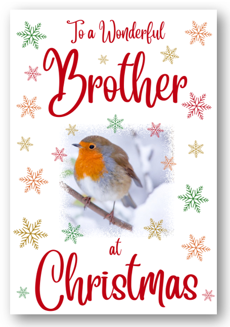 Second Ave Brother Christmas Robin Xmas Holiday Festive Greetings Card