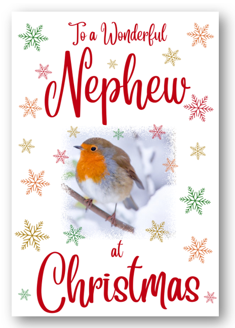 Second Ave Nephew Christmas Robin Xmas Holiday Festive Greetings Card