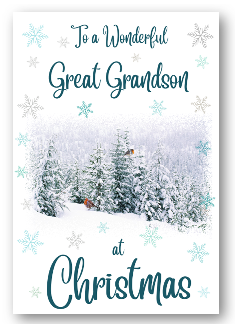 Second Ave Great Grandson Christmas Winter Scene Xmas Holiday Festive Greetings Card