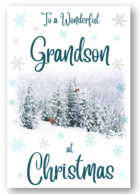 Second Ave Grandson Christmas Winter Scene Xmas Holiday Festive Greetings Card
