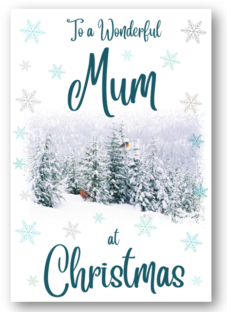 Second Ave Mum Christmas Winter Scene Xmas Holiday Festive Greetings Card