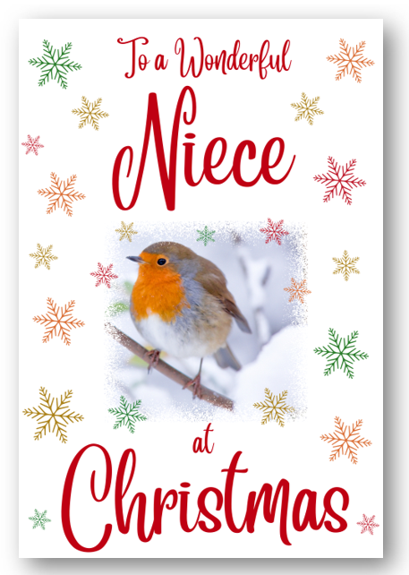 Second Ave Niece Christmas Robin Xmas Holiday Festive Greetings Card