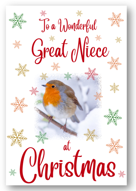 Second Ave Great Niece Christmas Robin Xmas Holiday Festive Greetings Card