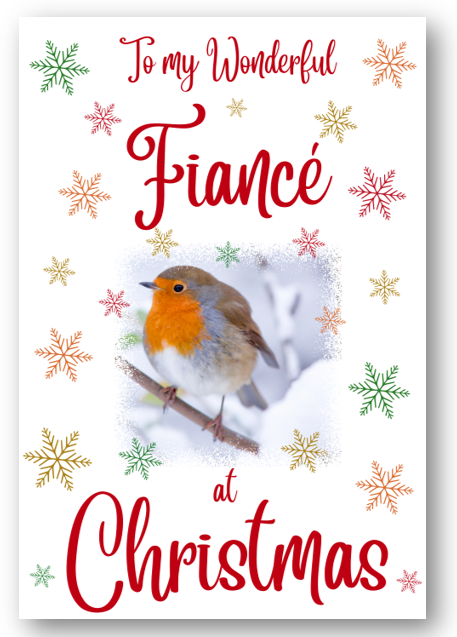 Second Ave Fiance Christmas Robin Xmas Holiday Festive Greetings Card