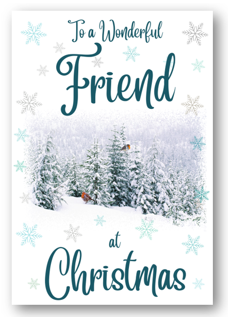 Second Ave Friend Christmas Winter Scene Xmas Holiday Festive Greetings Card