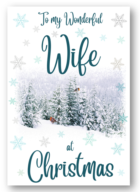 Second Ave Wife Christmas Winter Scene Xmas Holiday Festive Greetings Card