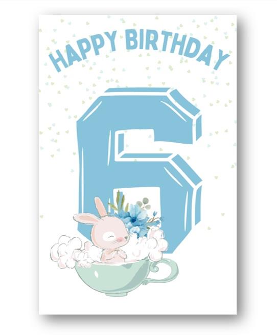 Second Ave 6th Birthday Age 6 Cute Rabbit Blue Baby Boy Children's Kids Happy Birthday Card Greetings Card