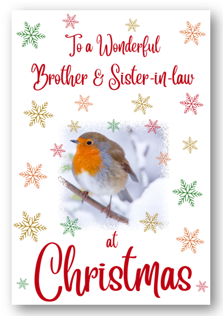 Second Ave Brother & Sister-in-Law Christmas Robin Xmas Holiday Festive Greetings Card