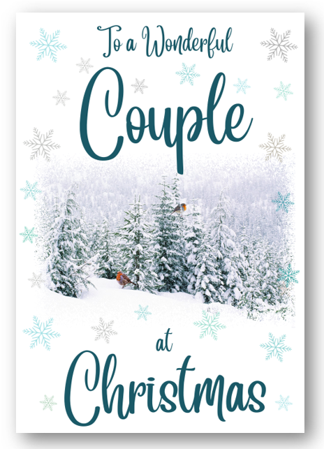 Second Ave Special Couple Christmas Winter Scene Xmas Holiday Festive Greetings Card