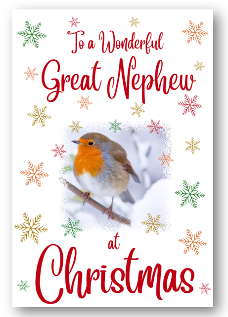 Second Ave Great Nephew Christmas Robin Xmas Holiday Festive Greetings Card