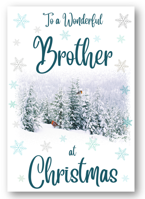 Second Ave Brother Christmas Winter Scene Xmas Holiday Festive Greetings Card