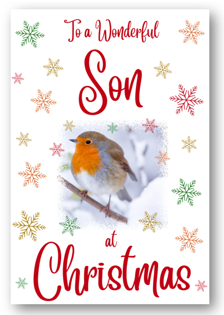 Second Ave Son Christmas Robin Xmas Holiday Festive Greetings Card
