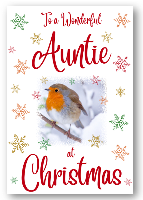 Second Ave Auntie Christmas Robin Xmas Holiday Festive Greetings Card