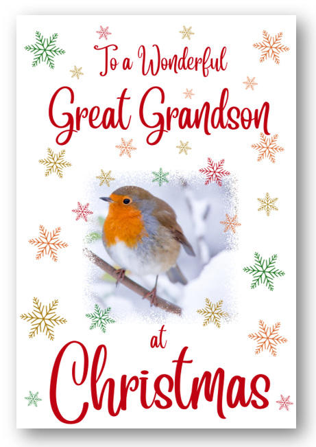 Second Ave Great Grandson Christmas Robin Xmas Holiday Festive Greetings Card