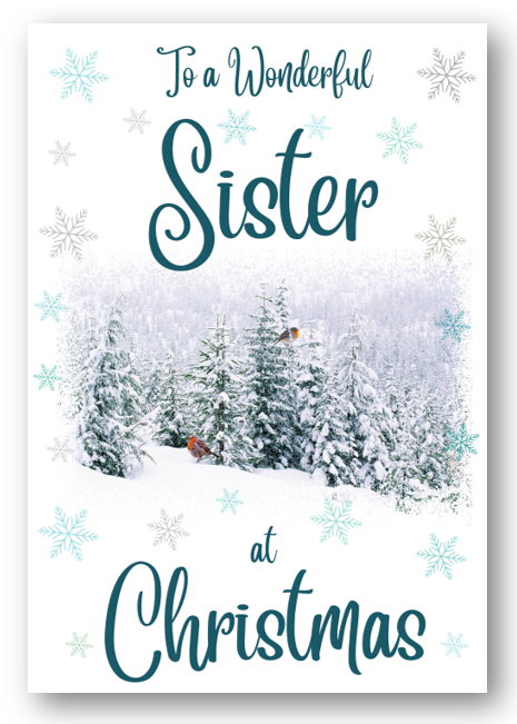 Second Ave Sister Christmas Winter Scene Xmas Holiday Festive Greetings Card