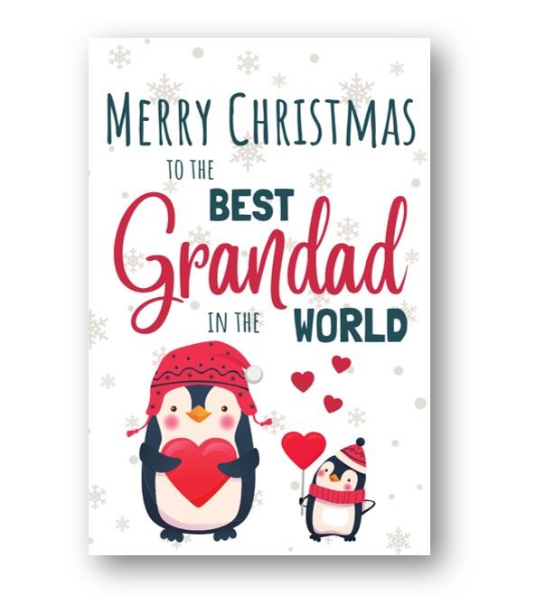 Second Ave Best Grandad Penguin Children's Kids Christmas Xmas Holiday Festive Greetings Card