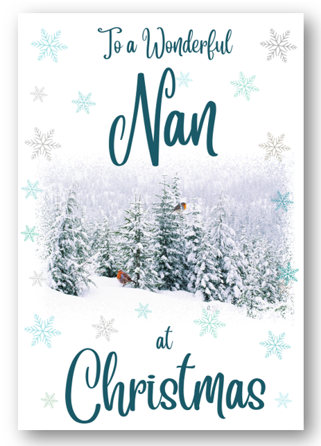 Second Ave Nan Christmas Winter Scene Xmas Holiday Festive Greetings Card